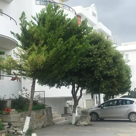 Appartamento Penthouse